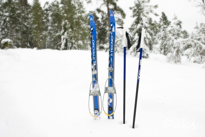 sport skidor