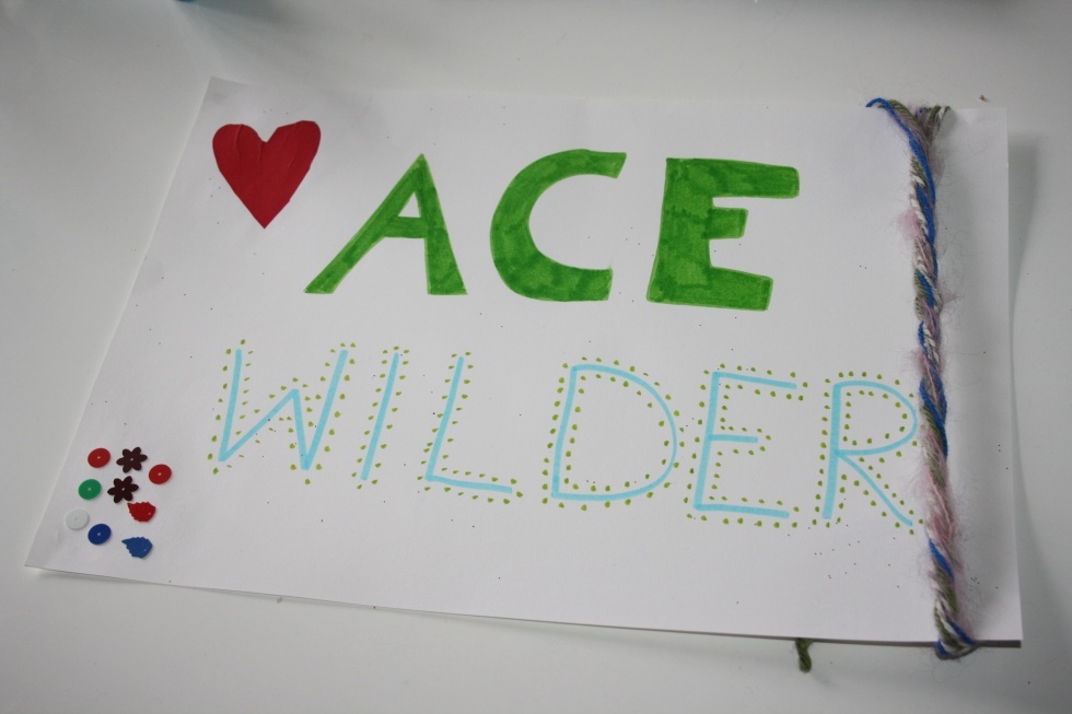ace wilder