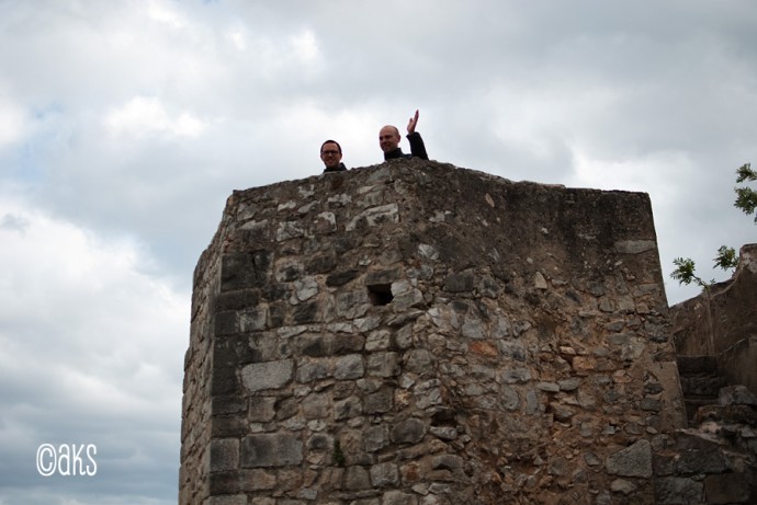 Torro Castelo de Taviro