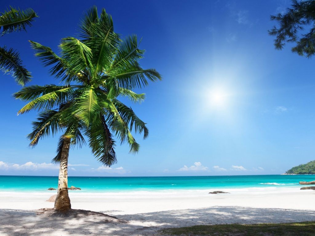 Paradise-Sunny-Beach-Wallpaper