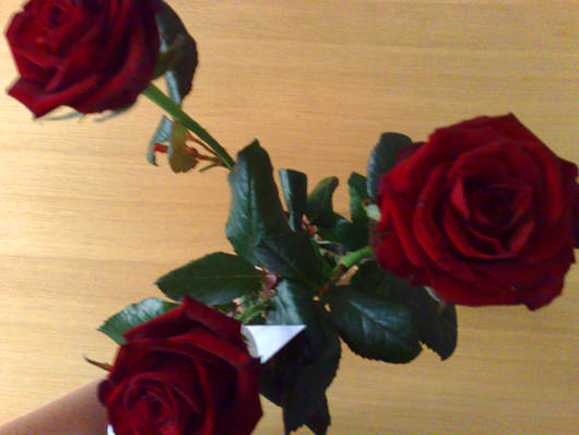 Tre röda rosor från maken min.